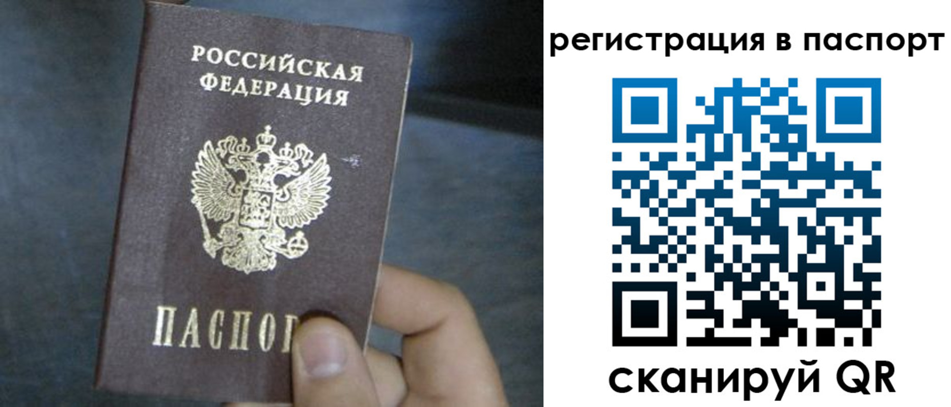 прописка 2025 в Тынде